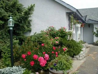 Flowers outside the inn